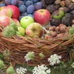 Fruit and nuts from the garden